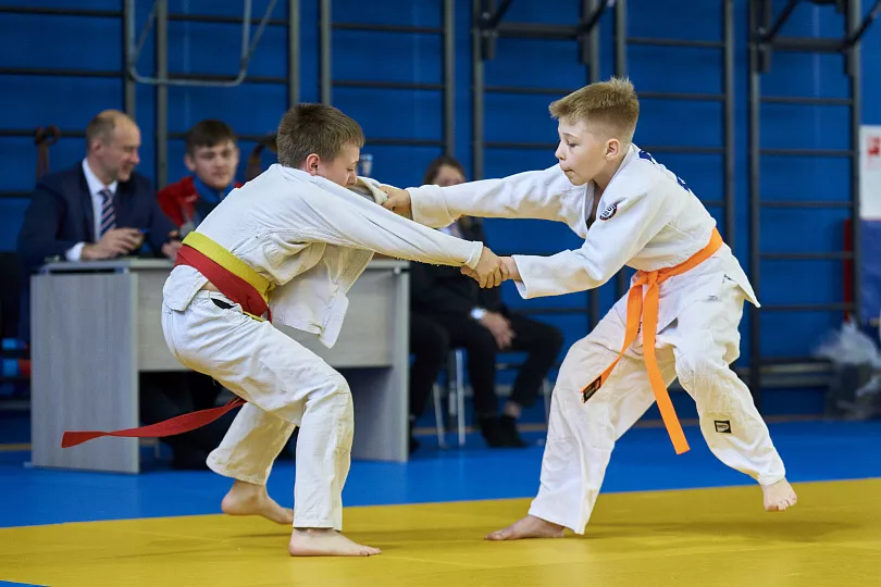 Спортивная группа по дзюдо